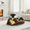 43.3" Walnut Coffee Table, variant on Hi loPres 31.5" Round Glass Coffee Table, Tempered Glass Center Table with Fan-Shaped Storage Pedestal and Walnut Wood Grain Legs for Living Room
