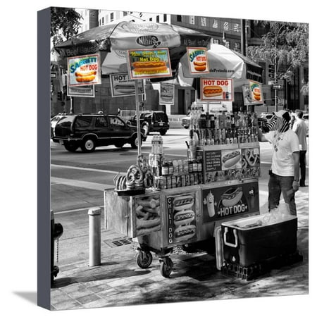 Safari CityPop Collection - NYC Hot Dog with Zebra Man II Stretched Canvas Print Wall Art By Philippe