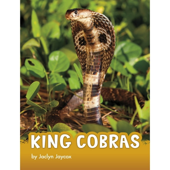 Animals King Cobras, (Hardcover)