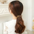 thumbnail image 5 of 2 Pack Women's Hair Extensions with Barrette Clips and Bobby Pins for Easy Styling, Secure Hold, and Natural Look, 5 of 8