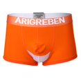 thumbnail image 1 of Pantalones Cortos para Hombre Malla de Bolsa Abultada Troncos Calzoncillos Ropa Interior para Adultos SG, 1 of 9