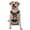 With Accessories, variant on Vsdgher Bald Eagle Pilot Pattern Dog Harness,No Pull Pet Harness with Soft Padded Handle,Adjustable Reflective Vest with 2 Buckles,4 Slide Buckles,S-XL Medium