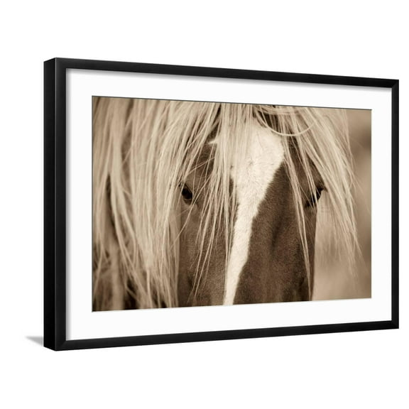 Art.com The Blonde Photographic Print by Lisa Dearing, Black Frame Wall Art, 29" x 21"