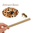 thumbnail image 4 of 20Pcs Bamboo Mason Bee Tubes for Pollination and Bee Habitat Honeycomb Shape Beekeepers, 4 of 7