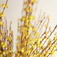 thumbnail image 2 of Minzimin 5/10 Pcs 29.5" Fall Stem Orange Jasmine Fall Flowers Dry Branches Bouquet for Thanksgiving Home DIY Floral Art Plant Wedding Table Centerpieces Christmas Party, 2 of 9