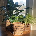 thumbnail image 6 of Seagrass and Jute Plant Baskets, Round, Chunky Sweater Weave, Natural (3 Pack), 6 of 6