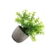 thumbnail image 5 of Inteprter Decoración artificial elegante de la planta en conserva fácil limpiar el árbol artificial del dinero en pote respetuoso del medio Type6 NO6, 5 of 6