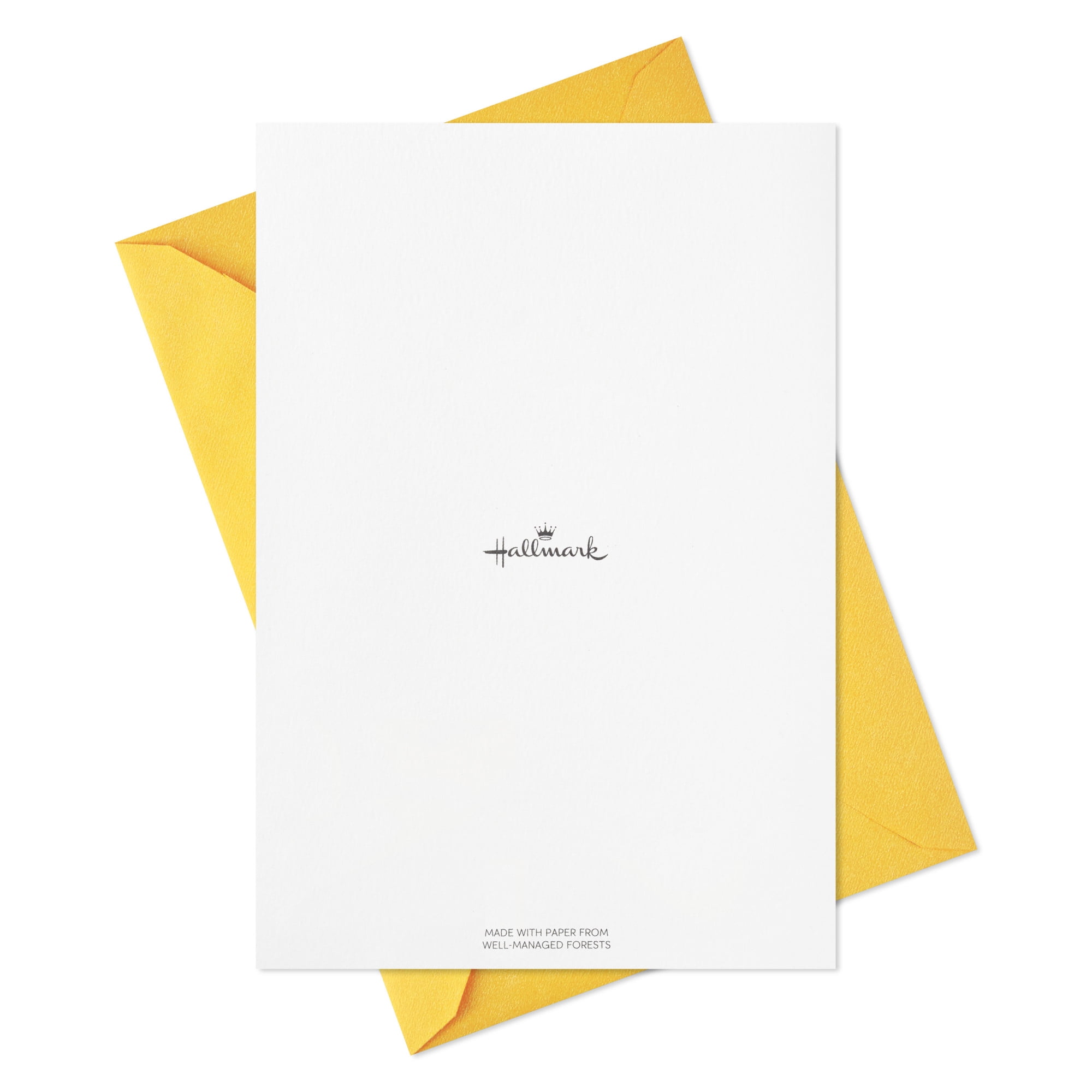 Hallmark Assorted Thank-You Cards (Bold and Bright Designs), 12 Count