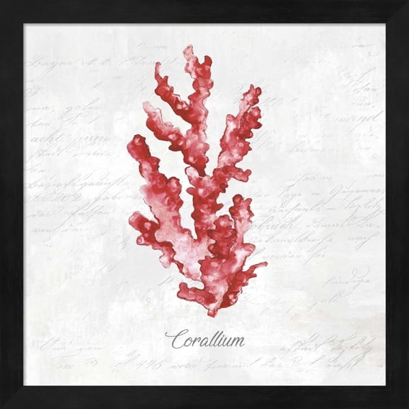 Red Sea Coral by Eva Watts, Framed Wall Art, 13.25W x 13.25H
