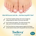thumbnail image 2 of Toelieva +Plus Maximum Strength Antifungal Liquid Solution, Powerful Nail Fungus Treatment for Toenail & Fingernail, 25% Undecylenic Acid, Tea Tree Oil, Lavender Oil & Vitamin E, 0.5 Oz, 2 of 10