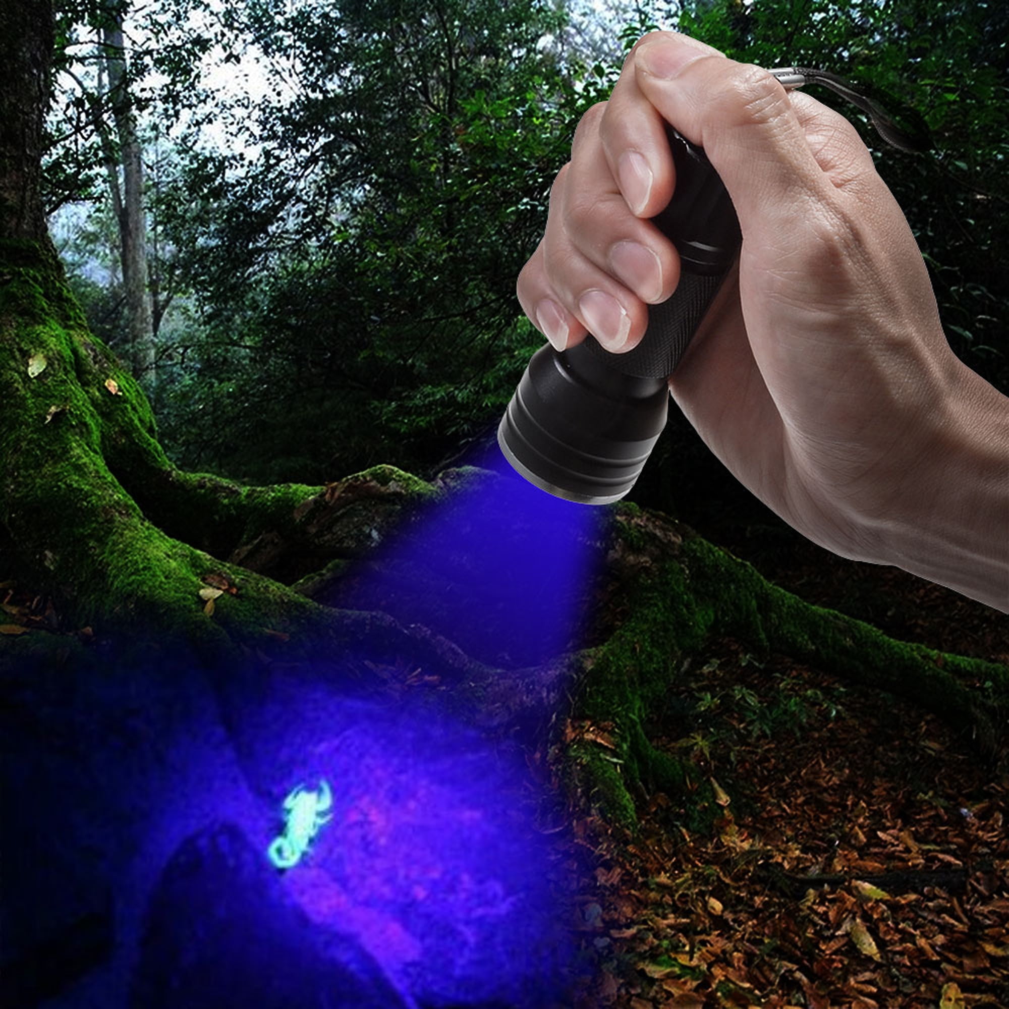 IMAGE 12 LED UV Flashlight Handheld Blacklight Stain for Pet Urine