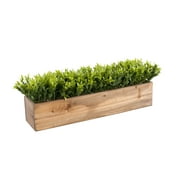 Artificial Greenery In Real Wood Box