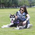 thumbnail image 4 of Arnés para perros, chaleco reflectante para perros sin tirones, arnés para mascotas ajustable y transpirable con asa para caminar al aire libre: no más tirones, tirones o asfixias ER, 4 of 5