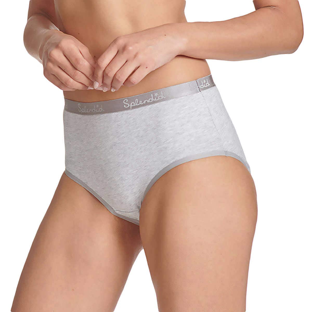 6-Pack Splendid Women's Super Soft Brief Underwear Panty Multi-color Sexy  Smooth