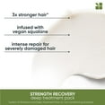thumbnail image 3 of Biolage Strength Recovery Deep Treatment Pack | Moisturizing Hair Repair Mask | For Dry, Damaged Hair Types | Deep Conditioning | Cruelty-Free | Infused with Vegan Squalane | 3.4 Fl. Oz, 3 of 4
