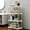 White, variant on Bxaolu 4 Tier Shelving Plastic Large Storage Shelves Heavy Duty Utility Layer Shelf Rack Organizer 31.4 x 16.5 x 8.6in, Black