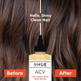 thumbnail image 3 of dpHUE Apple Cider Vinegar Hair Rinse, 20 fl oz, 3 of 7