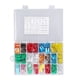 thumbnail image 1 of Kit surtido de 250 fusibles automotrices de alta frecuencia, tipo cuchilla y caja., 1 of 14