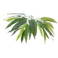 thumbnail image 2 of Vickerman 4' Artificial Mango Bush in a Rattan Basket -TBU2840, 2 of 2