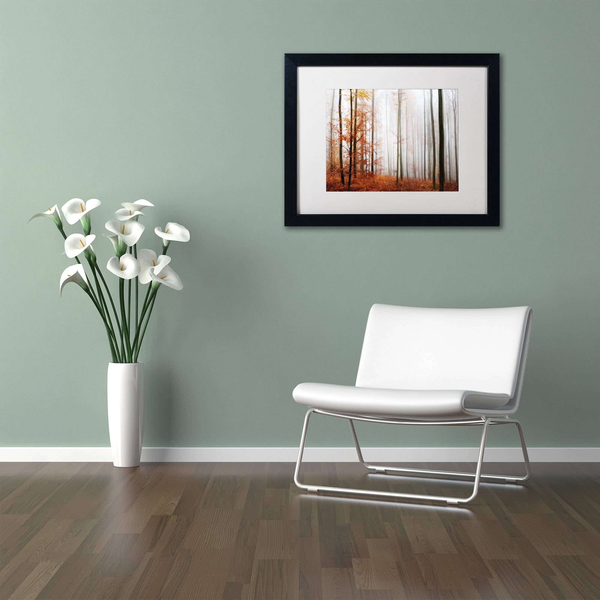 Trademark Fine Art "Forest Corner" Canvas Art by Philippe Sainte-Laudy White Matte, Black Frame