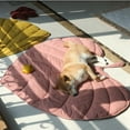 thumbnail image 2 of CNKOO Ins Style Cat Bed Mat Leaf Shape Soft Dog Bed Mat   Washable Non-Slip Room Decor Floor Rug  Activity Floor Carpet Photo Studio Prop for Dogs Cats, 2 of 6