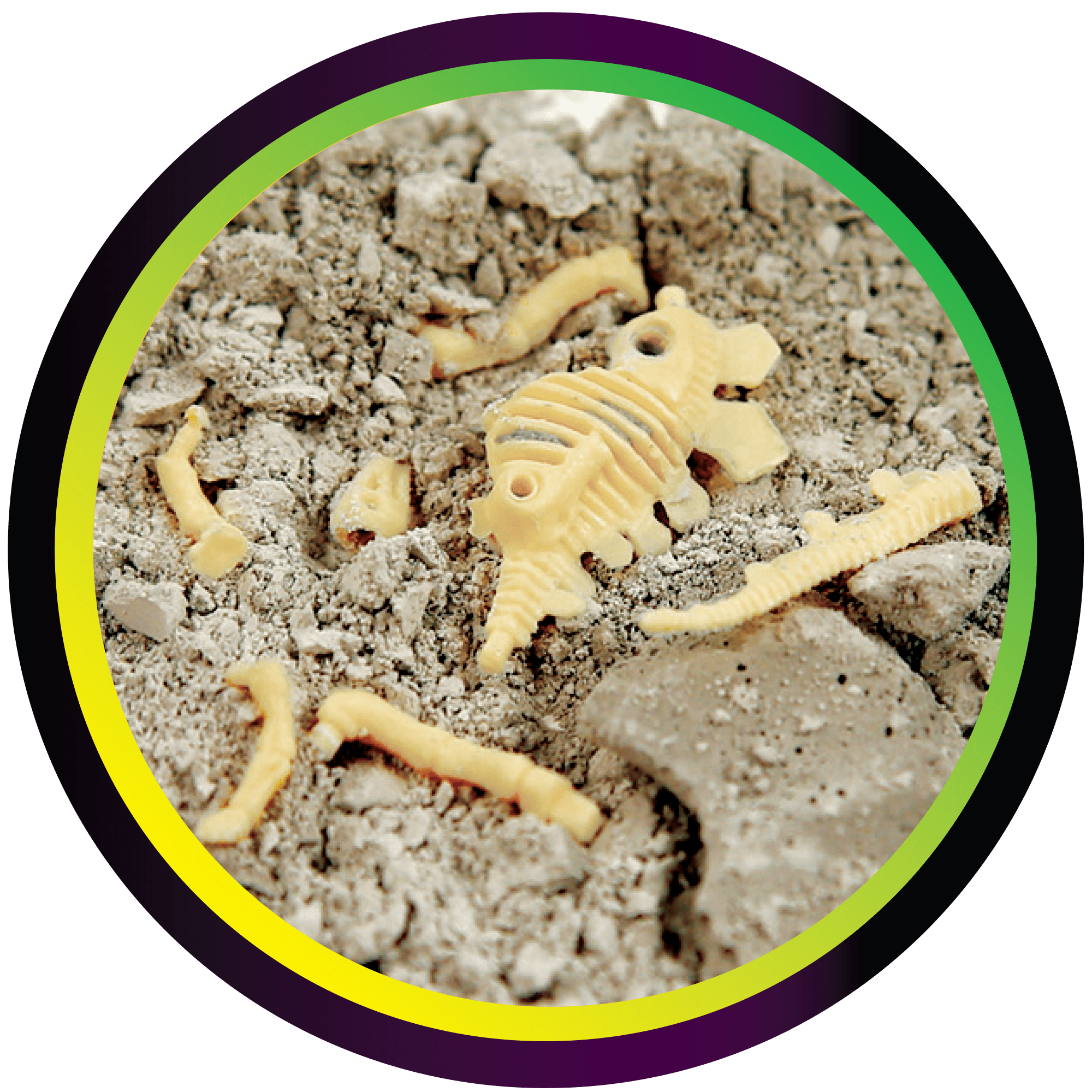Dinosaur Fossil Dig Set with tools, 6 styles, child ages 3 and up, by Way to Celebrate