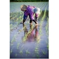 thumbnail image 1 of Great BIG Canvas | "Local Planting Rice By Hand; Japan" Art Print - 24x36, 1 of 4