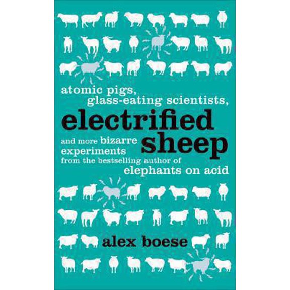 Pre-Owned Electrified Sheep (Paperback) 0752227386 9780752227382