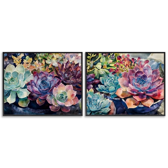 Stupell Industries Sunny Watercolor Succulents 2 Piece Black Framed Giclee Art Set, design by Svetlana Aleynikova