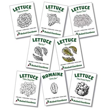 Organic Vegetable Seeds Kit 13 Varieties Of Non Gmo Non Hybrid Heirloom Open Pollinated Garden Seed Walmart Com