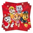 thumbnail image 4 of Paw Patrol Party Supplies Set by Unique – Plates, Napkins, Balloons & Banner, 4 of 6