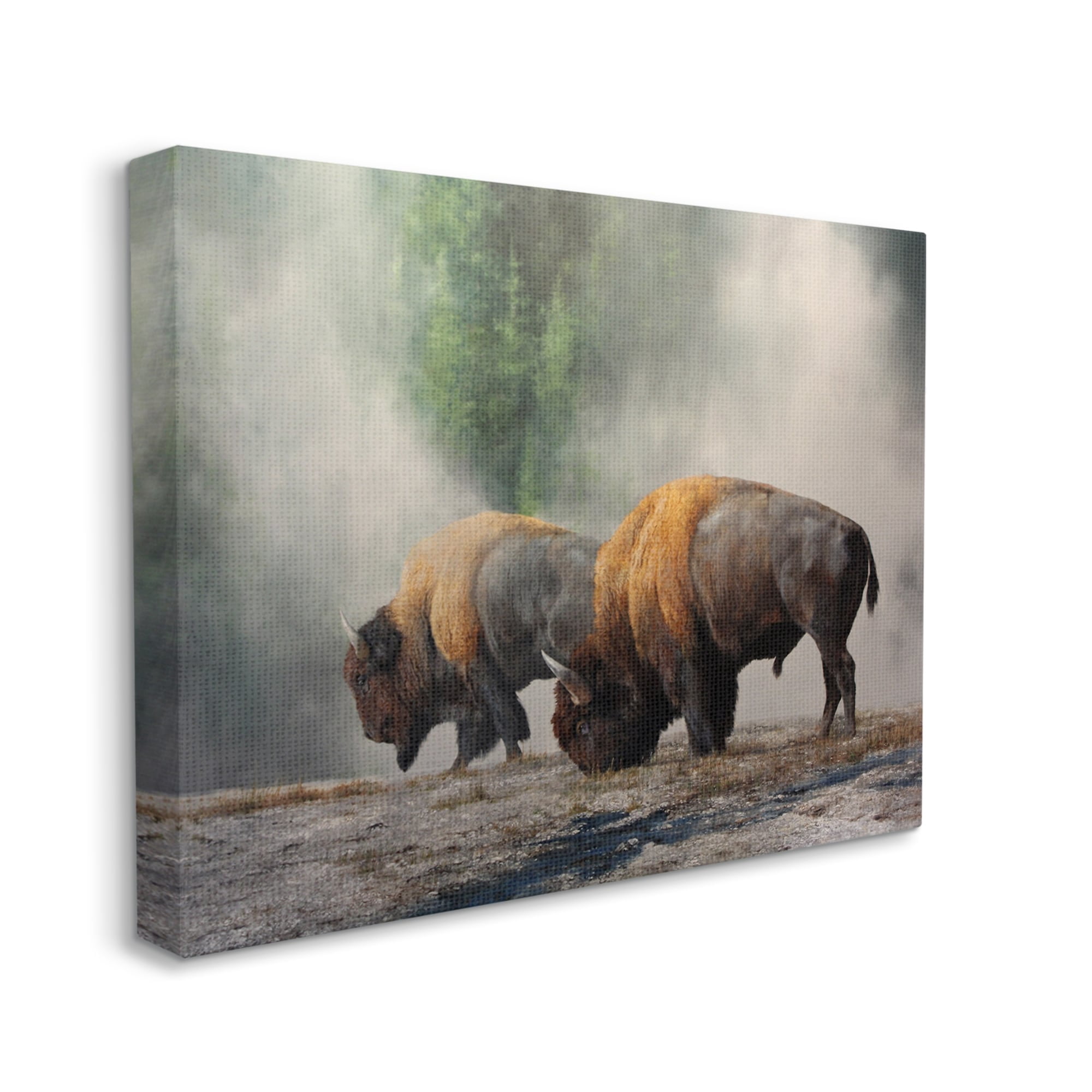 Stupell Industries Bison Duo Grazing Foggy Nature Animals & Insects Painting Gallery Wrapped Canvas Print Wall Art