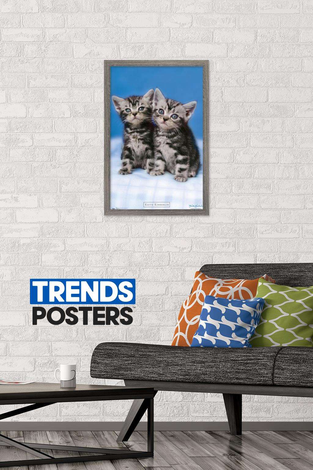 Keith Kimberlin - Kittens - Twins Wall Poster, 14.725" x 22.375", Framed