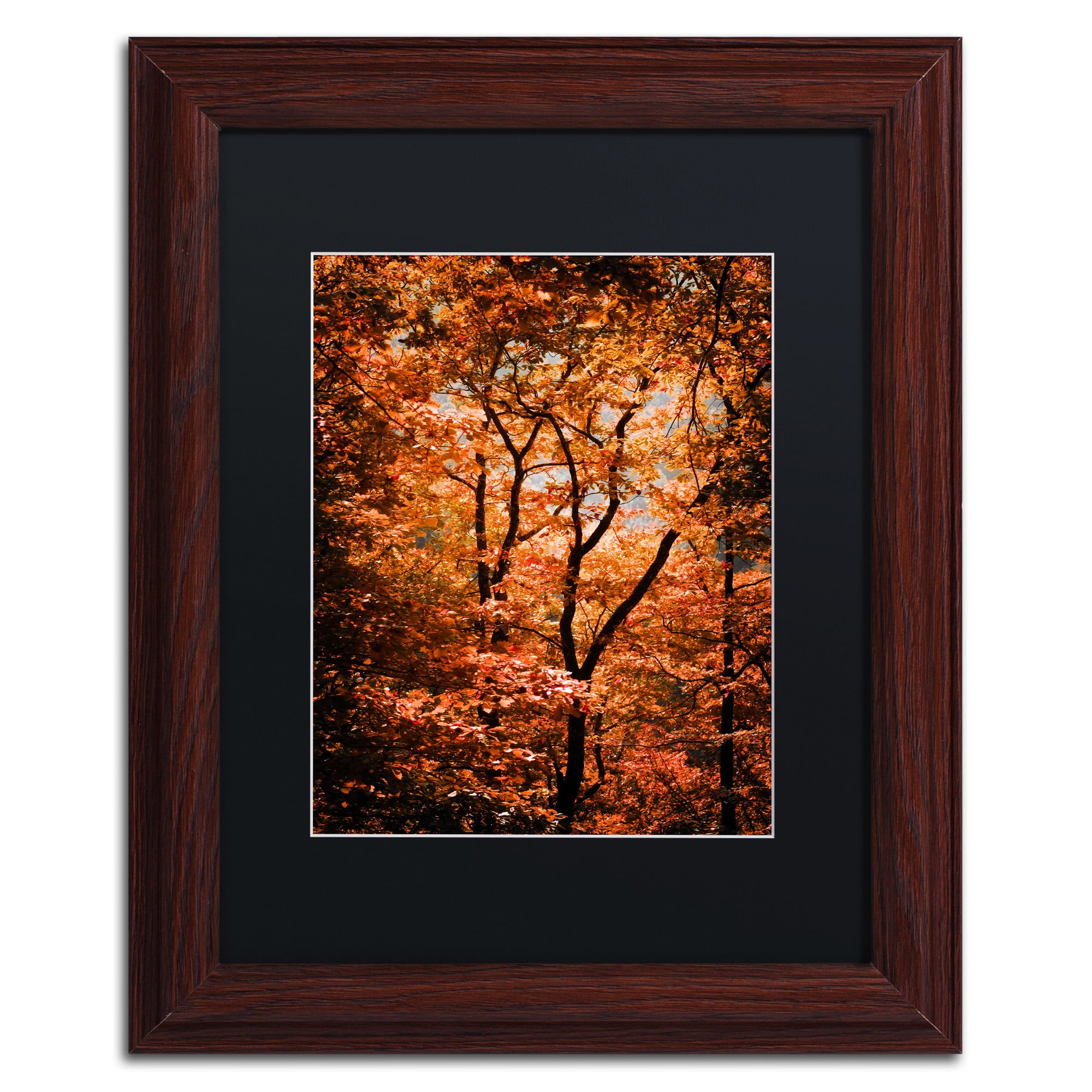 Trademark Fine Art "Autumn Whispers" Canvas Art by Philippe Sainte-Laudy Black Matte, Wood Frame