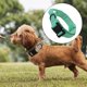 thumbnail image 5 of Collar de perro Gloria Collar de entrenamiento para medianos y grandes L Verde, 5 of 8