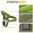 thumbnail image 6 of TSYKHAIA No Pull Dog Harness and Leash Set - Adjustable Vest with Soft Padding, Reflective Escape-Proof for Easy Walking and Training, 6 of 8