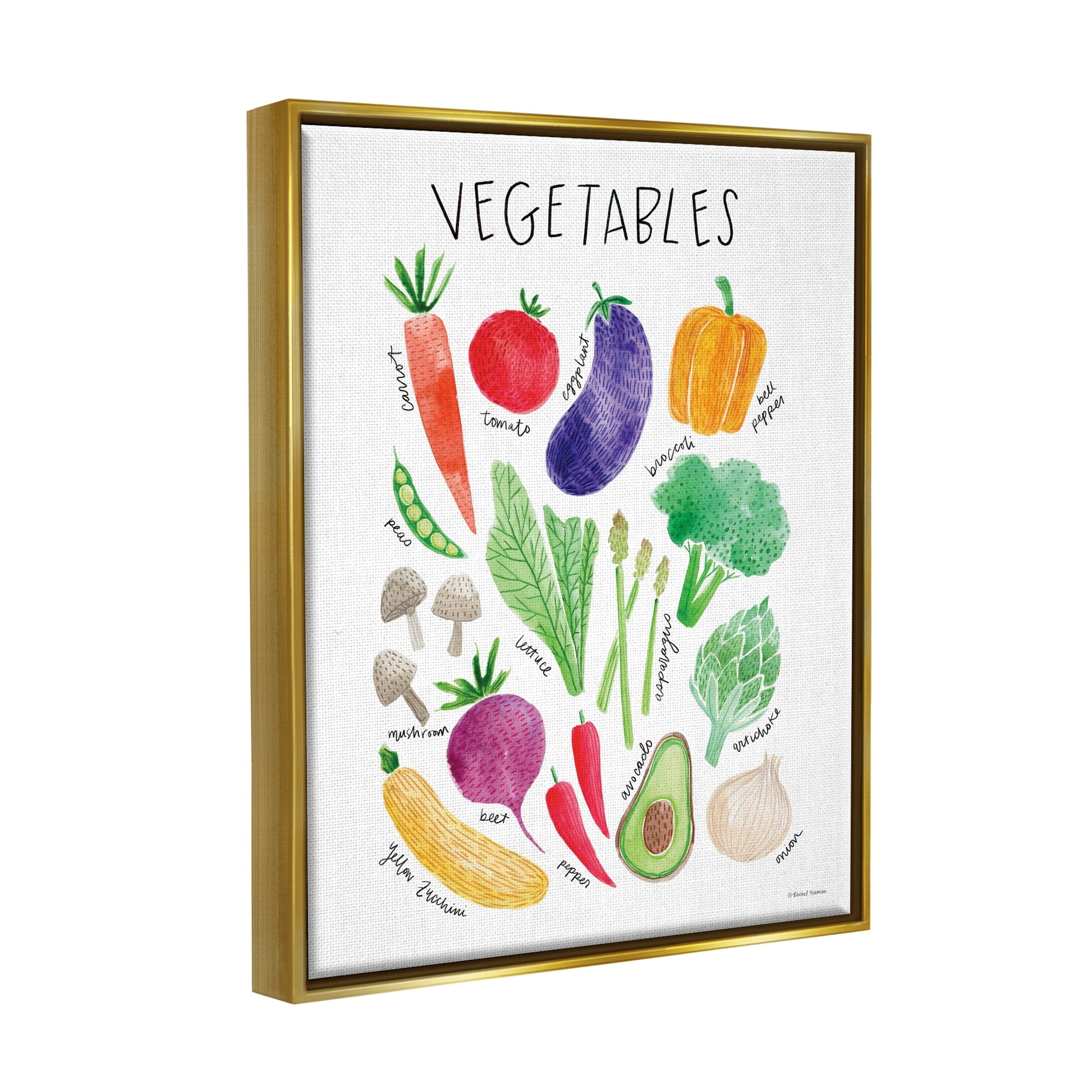 Stupell Industries Varied Vegetables Plants Labeled Diagram Kitchen Sign Graphic Art Metallic Gold Floating Framed Canvas Print Wall Art, Design by Rachel Nieman