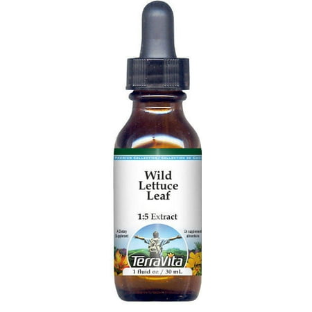 Wild Lettuce Leaf Glycerite Liquid Extract (1:5) - No Flavor (1 oz, ZIN: