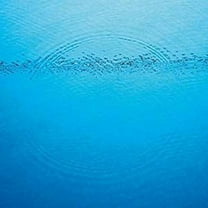 Caribou - Suddenly - Music & Performance - Vinyl