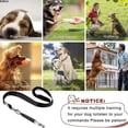 thumbnail image 4 of MUMQAQ 2 Pack Dog Whistle to Stop Barking Professional Adjustable Ultrasonic Dog Training Whistle, 4 of 8