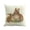 D, variant on MXTPOV Easter Pillow Covers 18x18, Cute Rabbit Easter Eggs Pillow Covers for Couch Sofa Home Decor, Easter Decorations, Decorative Throw Pillow Covers Spring Decor for Home