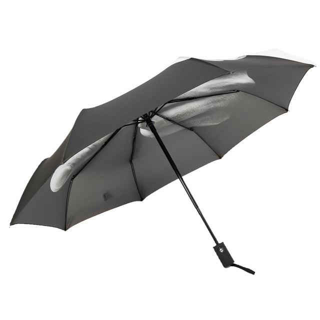 Paraguas del negro del diseño del dedo medio de la novedad con la resistencia al impacto y la característica plegable(Protección automática contra la lluvia)