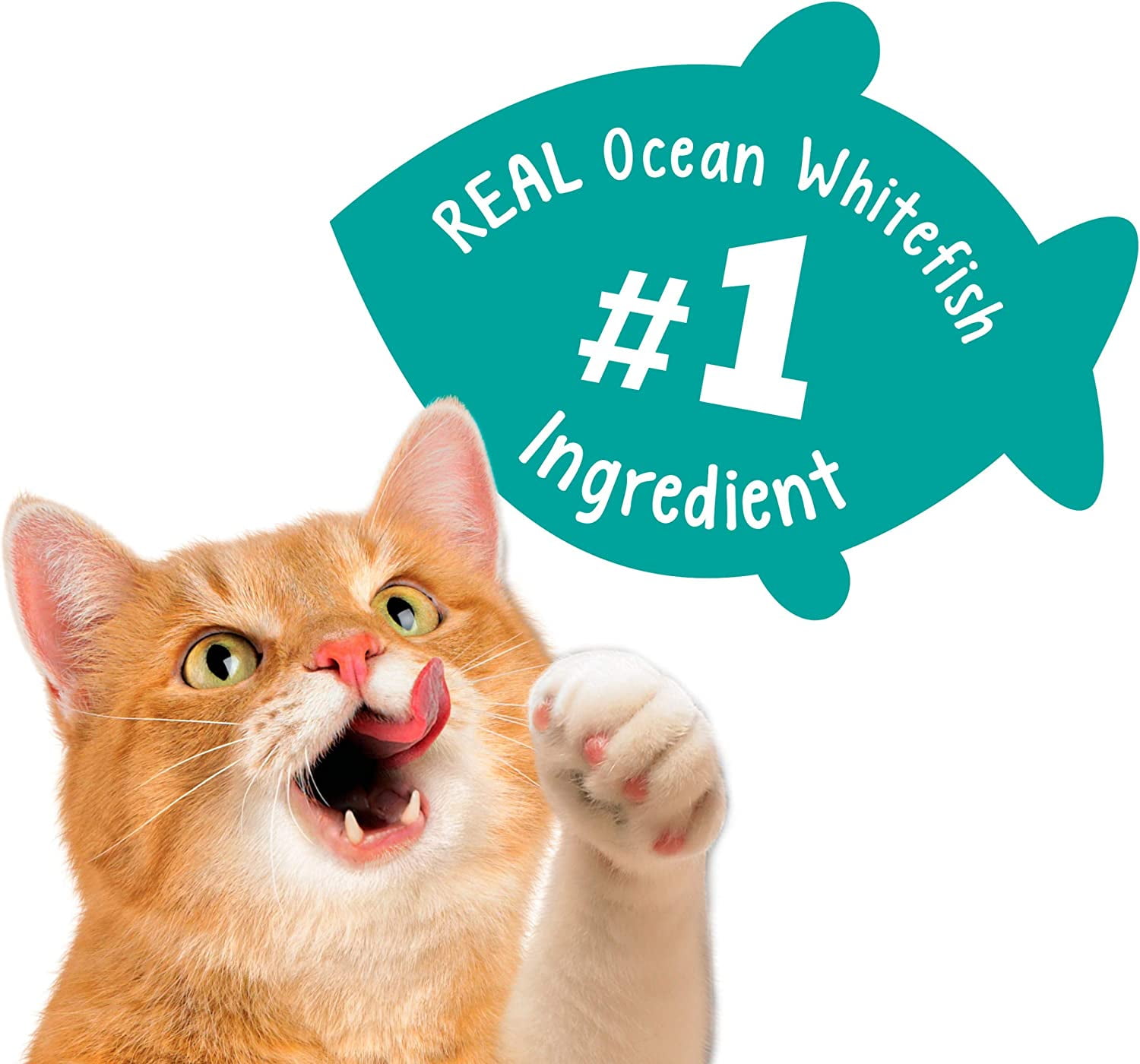 Purina Friskies Party Mix Cat Treats, Meow Luau Crunch with Ocean Whitefish & Flavors of Pork & Crab, Cat Treats for Adult Cats, 2.1-Ounce Pouch (Pack of 6)