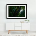 thumbnail image 2 of Looking Up Through the Tree Canopy - Portland Oregon Photography Forest Nature Woodland Scenic Woods Mystical Black Framed Wall Art Print 16 x 24 inches, 2 of 4