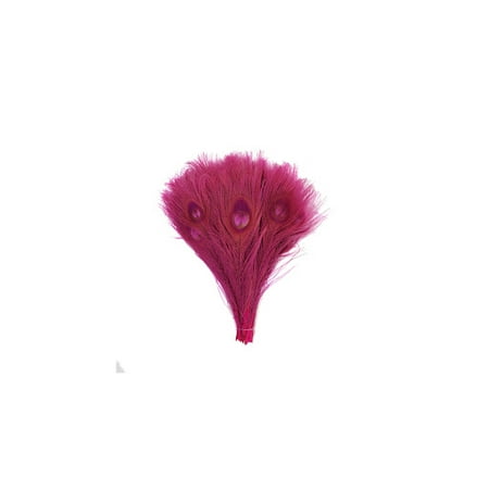 Zucker Feather Products Peacock Tail Eyes Bleached Dyed - Shocking Pink