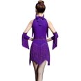 thumbnail image 4 of ZX Robe de Danse pour Femmes avec Strass, Paillettes, Franges, Robe de Fête, Salsa Latine, Danse de Salon, Ensemble de 4 Pcs, Haute Qualité, 4 of 4