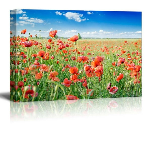 Canvas Prints Wall Art - Red Poppies on Green Field under Blue Sky - 32" x 48"