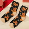 thumbnail image 2 of Women's Print Thin Short Socks With Lace Mesh Socks, 2 of 3