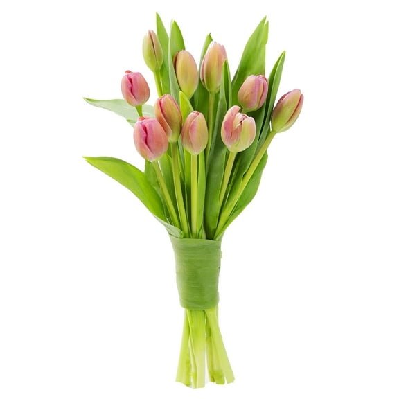 KaBloom : Fall Collection-Bouquet of Fresh Cut Flower 20 Pink tulips, Next-Day Delivery, Gift of Fresh Flowers for Every Occasion.