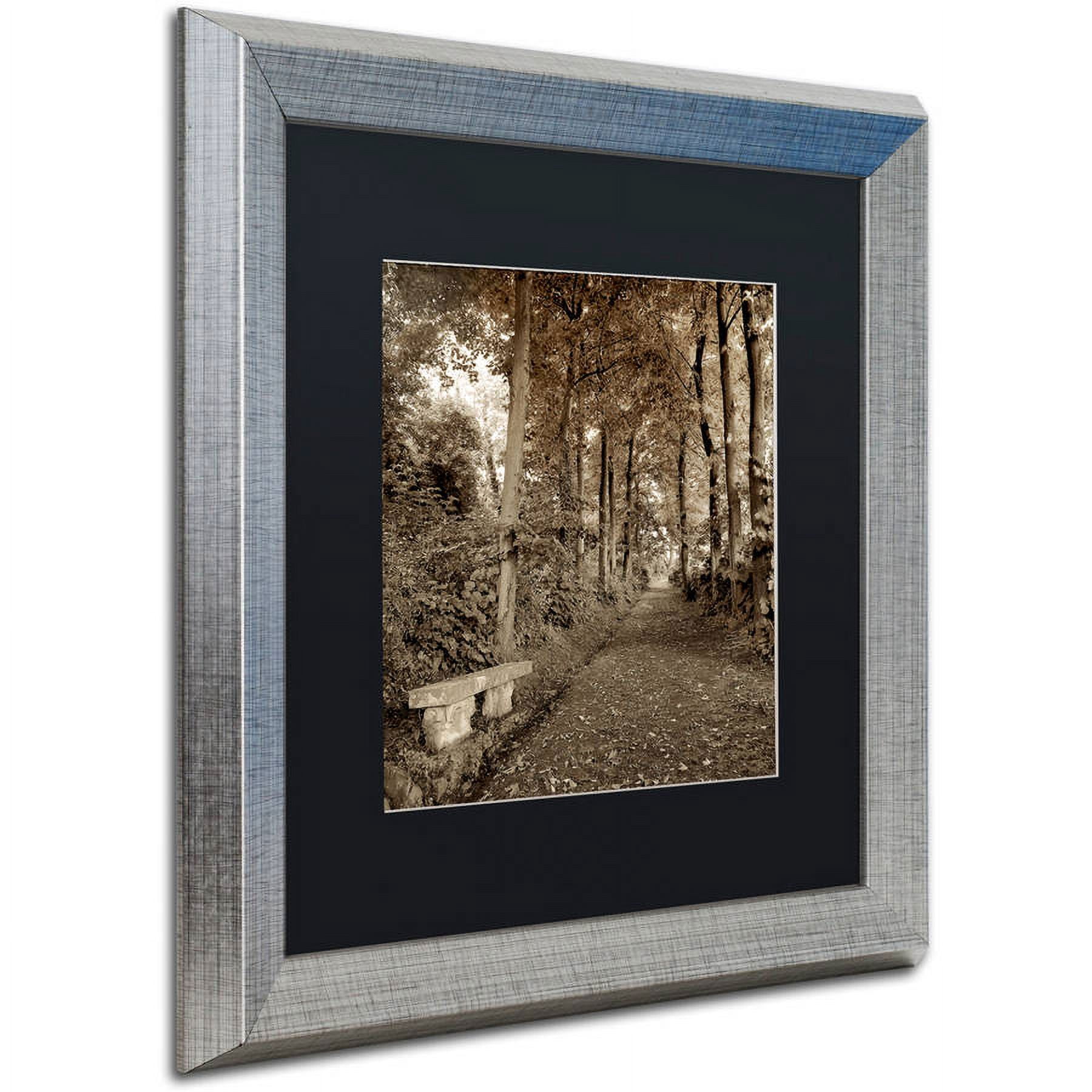 Trademark Fine Art "Fiesole Giardini II" Canvas Art by Alan Blaustein, Black Matte, Silver Frame